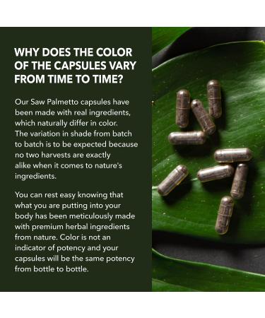 HAVASU NUTRITION Horny Goat Weed Capsules for Men & Women (60 Servings) & Saw Palmetto Supplement Capsules (200 Servings) - Buy Online on GoSupps.com