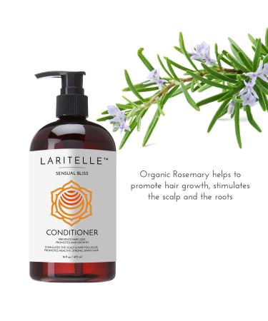 Buy Organic Hair Growth Set | 16 oz Shampoo Conditioner & 4 oz Treatment | Argan Oil & Essential Oils | NO GMO Sulfates Alcohol | International Shipping - Buy Online on GoSupps.com