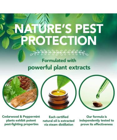 Vet's Best Cat Flea & Tick Spot-On | Natural Treatment & Prevention | 4 Applications - Buy Online on GoSupps.com