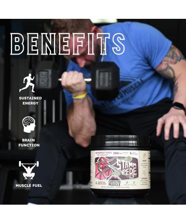 Earth Fed Muscle Stammpede Pre Workout Dragon Fruit Punch Clean Energy Focus Muscle Support No Fillers or Artificial Flavors 30 Servings - Buy Online on GoSupps.com