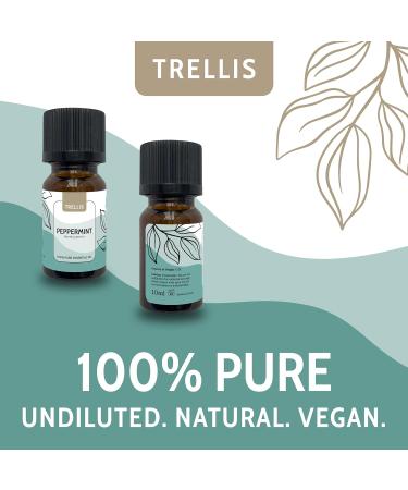 Trellis Peppermint Oil 10ml | 100% Pure Essential Oil for Diffusers | Vegan & Cruelty Free | Ethically Sourced & Bottled in USA & UK - Buy Online on GoSupps.com