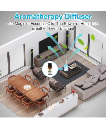 Cloud Rain Transparent Base Humidifier & Essential Oil Diffuser | 7-Color Night Light Auto Shut Off | Relaxing Bedside Decor & Soothing Water Sound - Buy Online on GoSupps.com