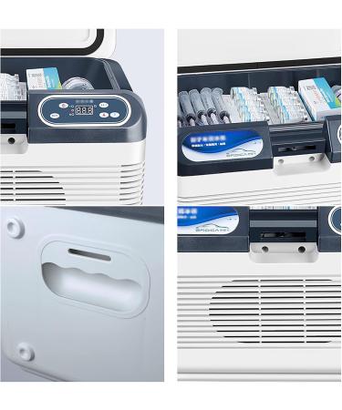 Portable Large Insulin Cooler Refrigerated Box LCD Display Animal Husbandry Case Reefer Car Small Refrigerator Mini Cold Boxes Drug Reefer Medicine Refrigerated Box 12L - Buy Online on GoSupps.com