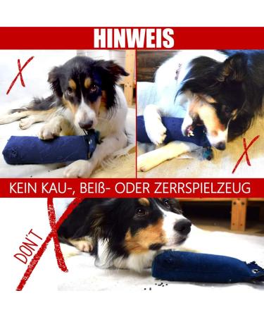 Romneys Standard Dummy 500g Blue - Floatable & Unsinkable Dog Training Tool | International Shipping - Buy Online on GoSupps.com
