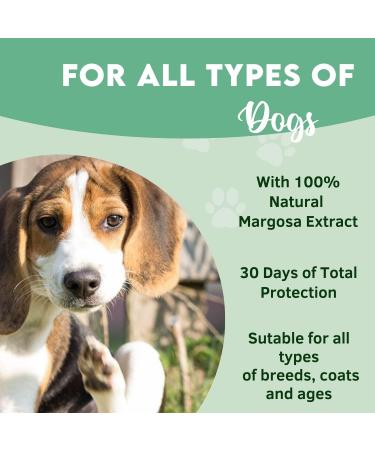 Disane Natural Anti-Parasite Pipettes for Dogs | 4 Units | 4 Months Flea Tick & Mosquito Protection | Non-Toxic & Safe for Pets - Buy Online on GoSupps.com