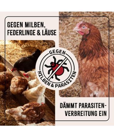 AniForte Mite Spray for Chicken & Poultry 500ml - Natural and Effective Treatment for Mites and Parasites - Buy Online on GoSupps.com