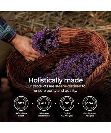 Gya Labs Organic Lavender Essential Oil 10ml - Aromatherapy for Relaxation, Skin and Hair - 100% Pure, Natural & Organic - Pack of 1 - Buy Online on GoSupps.com