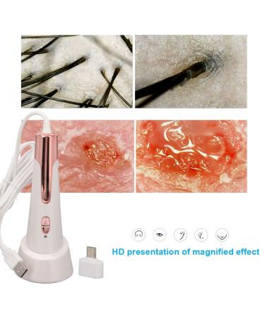 Portable Digital Skin Analyzer | 80X Precision Facial Tester for Skin Care | Oil & Water Skin Detector for Home Travel & Beauty Salon - Buy Online on GoSupps.com