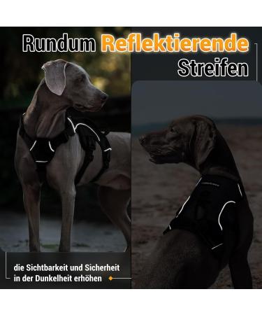 Buy Rabbitgoo No-Pull Dog Harness with Handle | Adjustable Vest for Large Dogs | Safe Control & Comfort | Outdoor Training | 1 Pack - Black - Buy Online on GoSupps.com