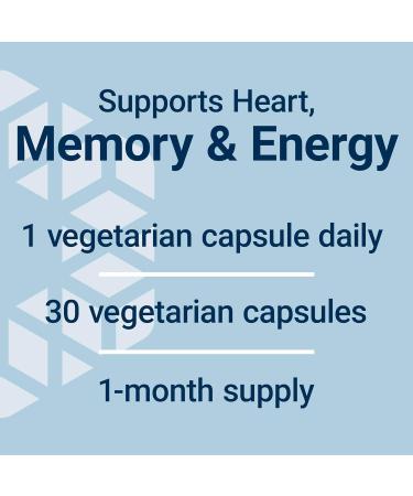 Buy Life Extension L-Carnitine 500mg - Energy & Memory Supplement - Gluten-Free Non-GMO Vegetarian - 2-Pack Capsules - Buy Online on GoSupps.com