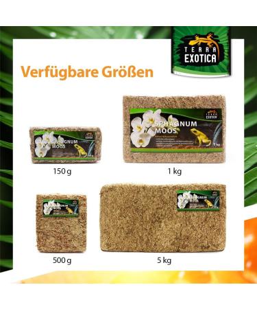 Buy Terra Exotica Sphagnum Moss (3x1 Kg) - Premium Peat Moss for Garden Houseplants & Terrariums - International Shipping Available - Buy Online on GoSupps.com