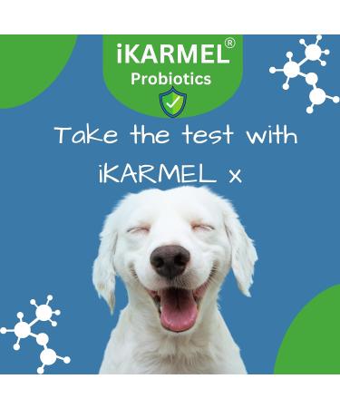 iKARMEL Doggy Dailies Probiotics for Dogs | Canine Supplements for Digestive and Immunity Support | Skin Health and Itch Relief | Vitamin Treats for Dogs | Probiotic (90 Chews) - Buy Online on GoSupps.com