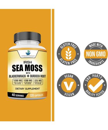 American Standard Supplements Irish Sea Moss, Bladderwrack, and Burdock Root Capsules - 1200mg/1200mg/225mg - Vegan, Gluten Free, Non-GMO - 120 Capsules - Buy Online on GoSupps.com