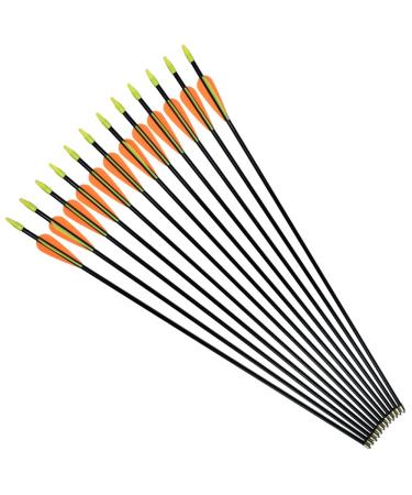 NIKA ARCHERY 24 26 28 30 Fiberglass Arrows for Youth Practise Recurvebow Compound Bow Shooting 12 pcs 28 inch Black Shaft