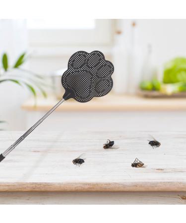 Buy Takuza Fly Gossip - 2 Pieces Pest Control with Mosquito Scraper | Effective Against Flies Wasps & Insects (Black & Brown) - Buy Online on GoSupps.com