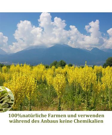 ULTHMOK INC ULTHMOK Premium Mullein Leaf Tea 50 Tea Bags Pure and Natural No Additives & Caffeine Free - Buy Online on GoSupps.com