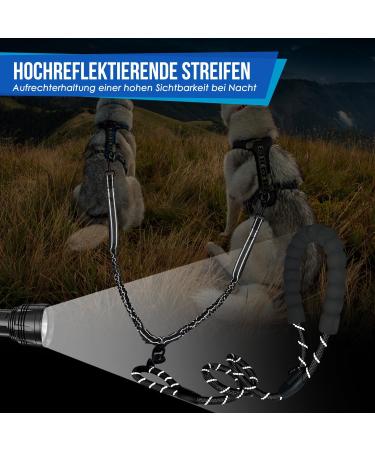 Buy Eyin Double Linen Dog Leash for Small & Medium Dogs - Flexible Reflective Tangle-Free with 3 Padded Handles - Ideal for 3 to 16 kg Dogs - International Shipping Available - Buy Online on GoSupps.com