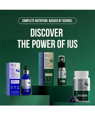 Orlo Women's Vitality Mix Travel Kit Daily Multivitamin & Bacillus Probiotic Supplement for Feminine Health Energy Focus with Vitamin D3 B12 Iron Glycine Cranberry & Spirulina (7 sachets) - Buy Online on GoSupps.com