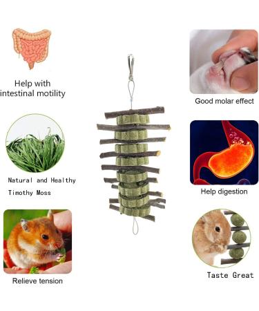 Bunny Chew Toy: Apple Wood Stick for Dental Health - 2 Pieces - Buy Online on GoSupps.com