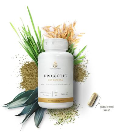 VTC VitaTradingCo. Probiotic Gut Defense | Probiotics and Prebiotics for Gut Health & Digestion | 1 Billion CFU with Whole Food Base | 90 Capsules - Buy Online on GoSupps.com