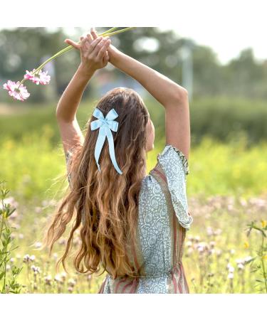 WLLHYF 2PCS Silky Satin Hair Bows Hair Clip French Hair Ribbon Ponytail Holder Metal Slides Barrette Alligator Clips Big Long-tail Aesthetic Hair Accessories for Women Girls(Blue) - Buy Online on GoSupps.com