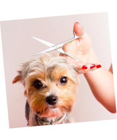 80 STK Hairdressing Tool Set - Professional Shear Cutters & Salon Accessories | Premium Hair & Pet Scissors - Buy Online on GoSupps.com