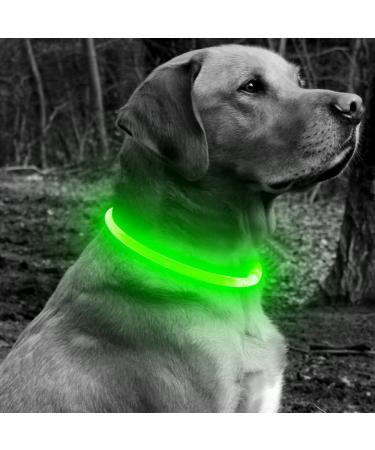 BSEEN LED Dog Collar Light - USB Rechargeable Glowing Collar for Small, Medium & Large Dogs in Green - Buy Online on GoSupps.com