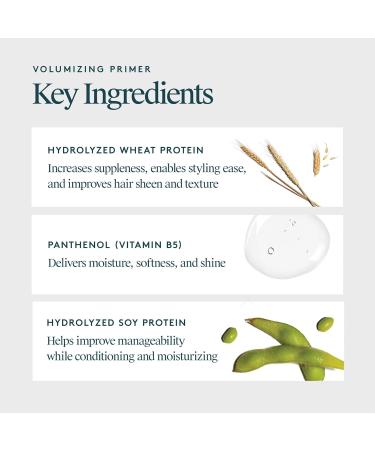 Virtue Volumizing Hair Primer Spray Heat Protectant Safe for All Hair Types Color Safe 5 Fl Oz 5 Fl Oz (Pack of 1) - Buy Online on GoSupps.com