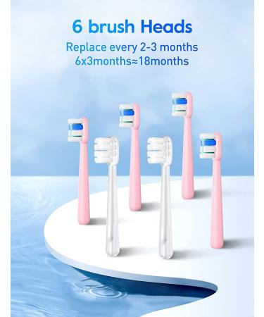 BAFOVY Sonic Electric Toothbrush for Adults - 48000 VPM Deep Cleaning with Magnetic Wireless Charger - 6 Brush Heads, 3 Modes & Smart Timer - Pale Pink - Buy Online on GoSupps.com