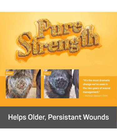 Absorbine Silver Honey Rapid Wound Repair Ointment 2oz Tube - Veterinarian Tested Horse & Animal Care - Buy Online on GoSupps.com