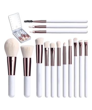 Travel Makeup Brush Set - 14 Small Make up Brush Sets for Women Makeup Brush Kit with LED Cosmetic Brush Set with Storage Box Portable Beauty Brush Set for Girls Womens White