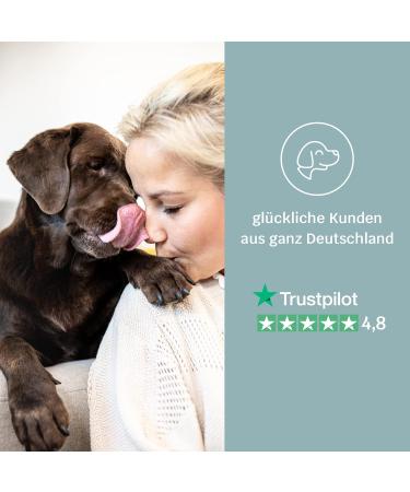 Mammaly Relax Time: Anti-Stress Snacks for Dogs with Valerian Chamomile & Probiotics - 270 Calming Treats for Fear & Nervousness - Buy Online on GoSupps.com