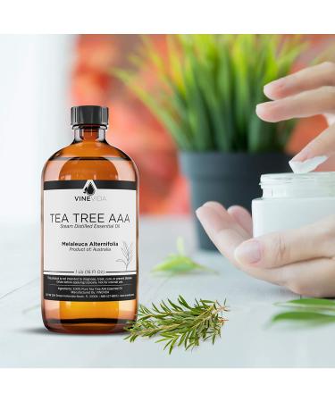 16 Oz Bulk Tea Tree Essential Oil - 100% Pure & Undiluted in Glass Bottle - 1 Pound for DIY Soaps, Candles, Blends - VINEVIDA - Buy Online on GoSupps.com