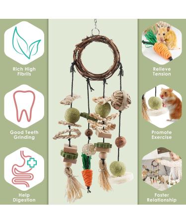 ERKOON Rabbit Hamster Hanging Chew Toys - Applewood Boredom Breaker with Grass Ball and Carrot Treats for Small Pets - Buy Online on GoSupps.com