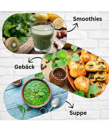 Buy 100% Pure Organic Nettle Powder Bio 500g - Superfood Rich in Magnesium Calcium & Potassium for Smoothies Muesli Soups & Pastries | Premium Raw Food - Buy Online on GoSupps.com