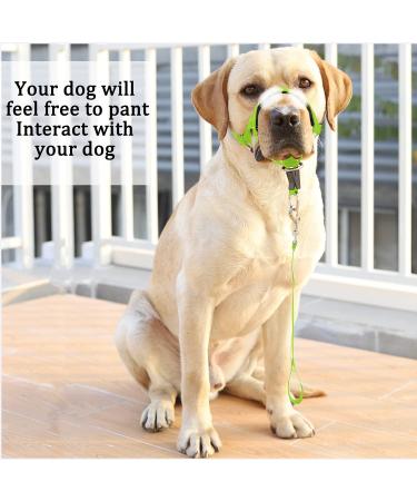 Barkeless Dog Halter for Easy Training & Walks - Soft Handle Pulling Solution Expert Instructions - Size M Green - Buy Online on GoSupps.com