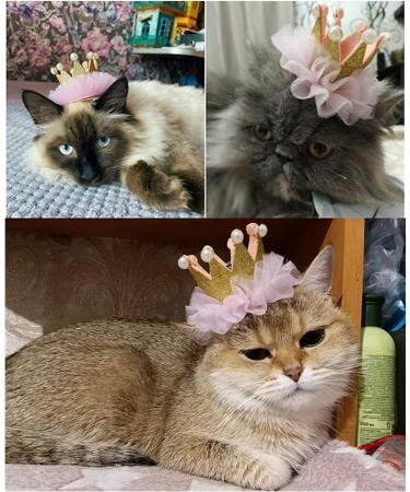 Dog Birthday Hat Cute Crown Pet Cat Dog Hair Clips Headwear Hair Pins Kitten Puppy Headdress for Wedding Birthday Party Photography Decoration (RED) - Buy Online on GoSupps.com