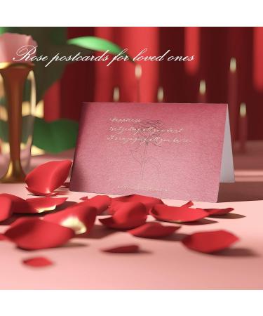 Immorrosa Eternal Rose & 925 Silver Moonstone Necklace with Crystal Earrings Perfect Gift for Mrs. & Mom | Valentine's Day Birthday Christmas Anniversary - Buy Online on GoSupps.com