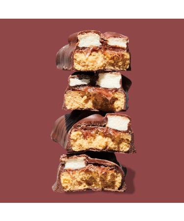 Misfits S'mores Vegan Protein Bars - High Protein, Low Sugar, Gluten Free - Pack of 12 - Buy Online on GoSupps.com