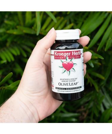 Kroeger Herb Products Olive Leaf Extract Capsules for Immune System Olive Leaf & Yarrow Supplement Vegetarian Non-GMO Gluten Free No Preservatives - 100 Capsules Made in USA - Buy Online on GoSupps.com