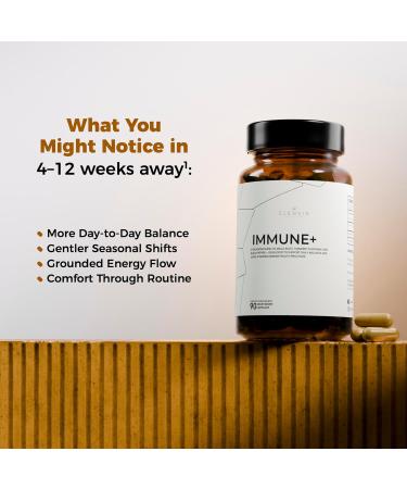 Immune Support Supplement Advanced Herbal Blend with Turmeric Maca Root & Black Pepper Daily Wellness Formula 90 Vegan Capsules Made in USA - Buy Online on GoSupps.com