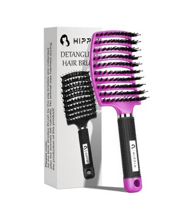 Hair Brush  HIPPIH Faster Blow Drying Detangling Brush  Curved Vented Brush Make Hair Shiny & Healthier  Boar Bristles Hair Brushes for Women Man Wet Dry Curly Thick Straight Hair Purple