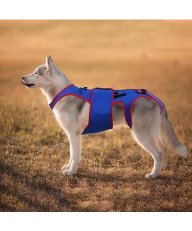 Small Dog Back Brace Spinal Support - Pet Support and Rehab Harness Dog Back Brace for Dogs - D-Ring and Reflective Strips Dog Back Brace for Dogs Dogs Back Prevention Helps Hurt Relief - Buy Online on GoSupps.com
