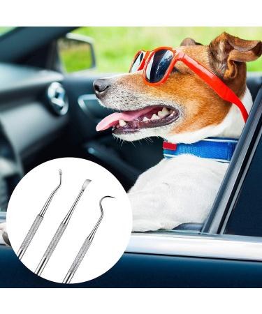 Dog Dental Tooth Scaler and Scraper Stainless Double Headed Tarter Remover Scraper Pet Teeth Cleaning Tools for Dog and Cat (3) - Buy Online on GoSupps.com