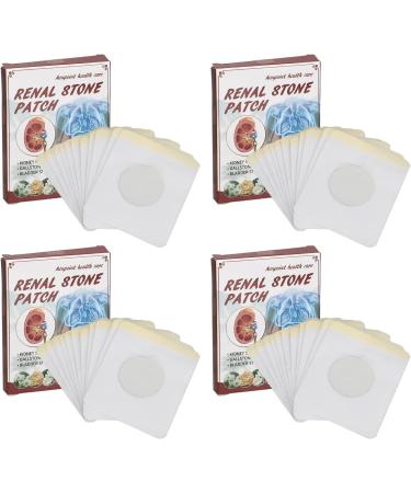 Jauarta 48PC Kidney Care Plaster - Organic Relief for Urine Complaints Body & Joint Pain | Gentle Neck Shoulder & Arm Care - Buy Online on GoSupps.com