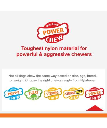 Durable Nylabone Dura Chew Beef Jerky - Power Chew Bones for Heavy Chewers | Medium for Dogs up to 16 kg - Multi-Colored - Buy Online on GoSupps.com