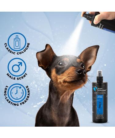 GROOM PROFESSIONAL Prince Dog Cologne Spray - Dog Perfume Spray - Dog Spray for Smelly Dogs - Masculine Scent with a Hint of Musk - Contains Chamomile Extracts to Soothe Sensitive Skin 500ml 500 ml (Pack of 1) Single - Buy Online on GoSupps.com