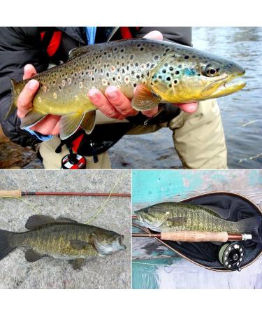 YZD Realistic Fly Fishing Lure Kit for Trout - Hand-Tied Nymph, Dry, Wet Flies for Freshwater & Saltwater Fishing - Buy Online on GoSupps.com