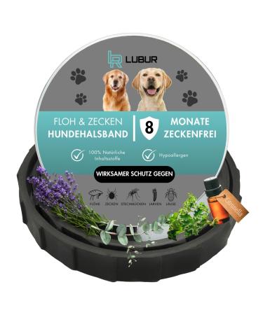 Lubur flea and tick collar for dogs and cats - natural & effective active ingredient - up to 8 months effective protection against ticks and fleas (gray dogs) dogs gray - Buy Online on GoSupps.com