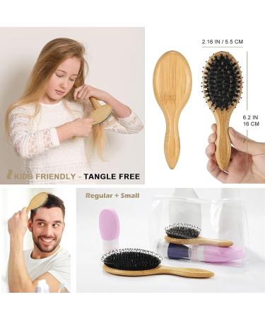 BESTOOL Boar Bristle Hair Brush Set - For Women, Men, Kids - Detangling, Softening, & Silky Shine - Regular & Small Sizes - Ideal for Thick, Fine, Curly Hair - Buy Online on GoSupps.com